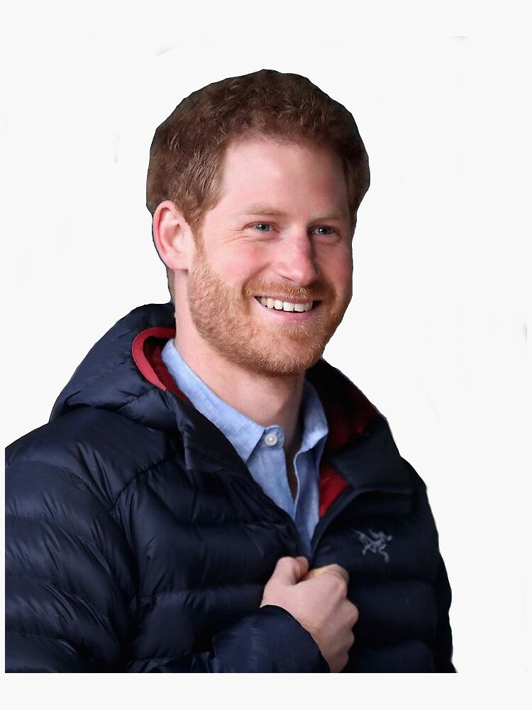 prince harry smiling Sticker