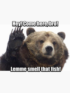 Just Let Him Smell The Fish! Sticker