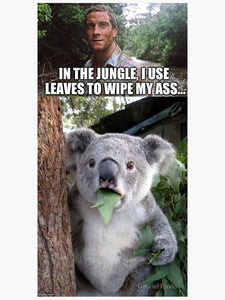 Koala Sticker